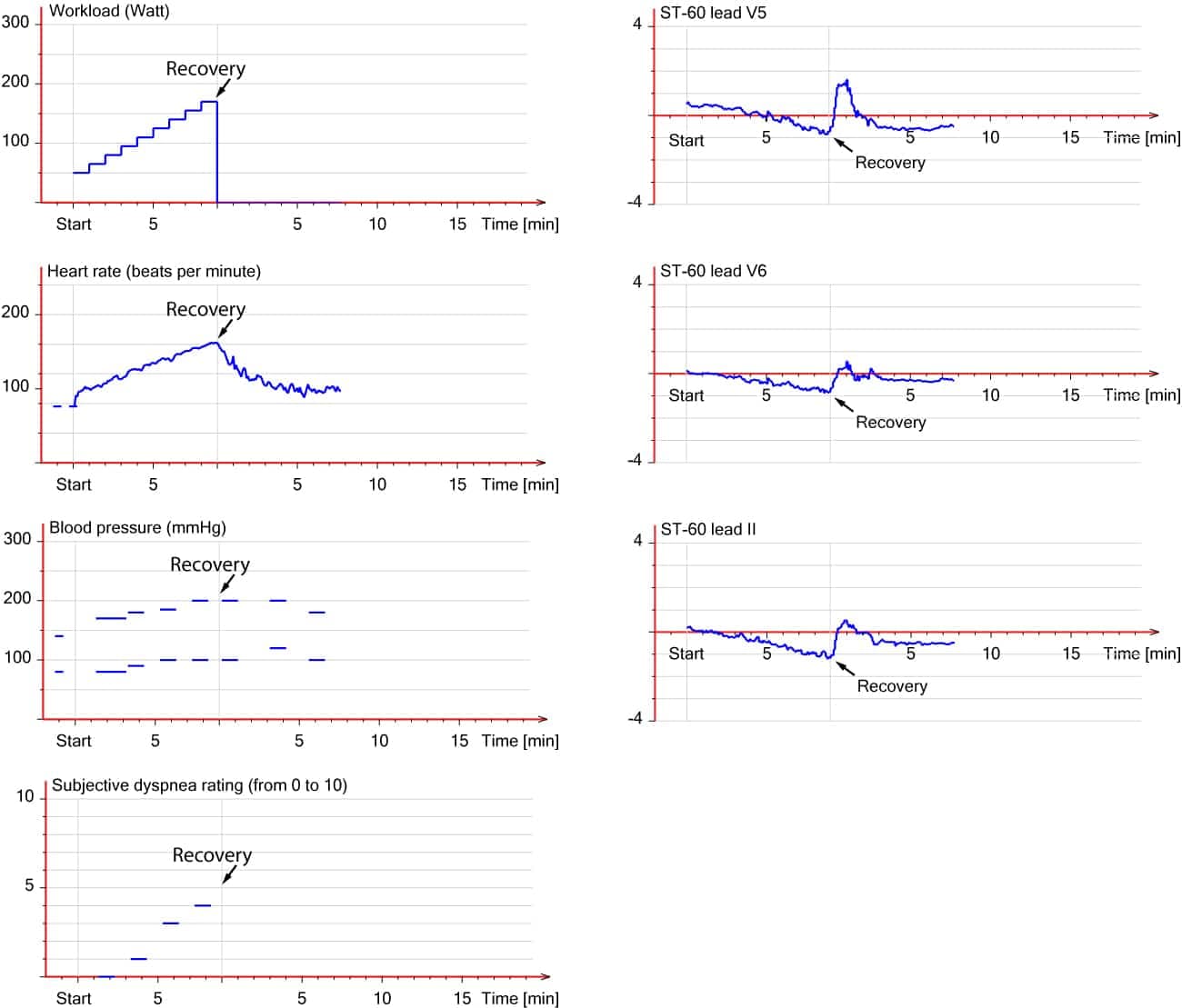 Figure 6. Overview of test results. 58 year old male with left main disease.