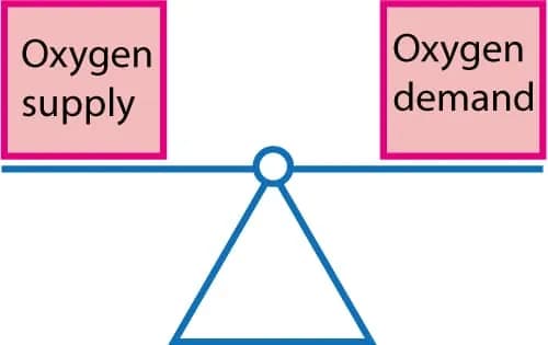 Figure 2. The balance between oxygen supply and demand.