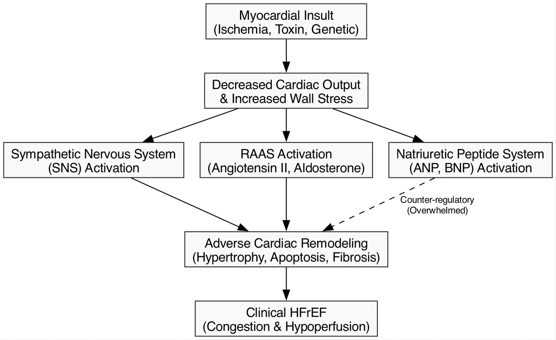 Pathophysiology and Neurohormonal Axis in HFrEF