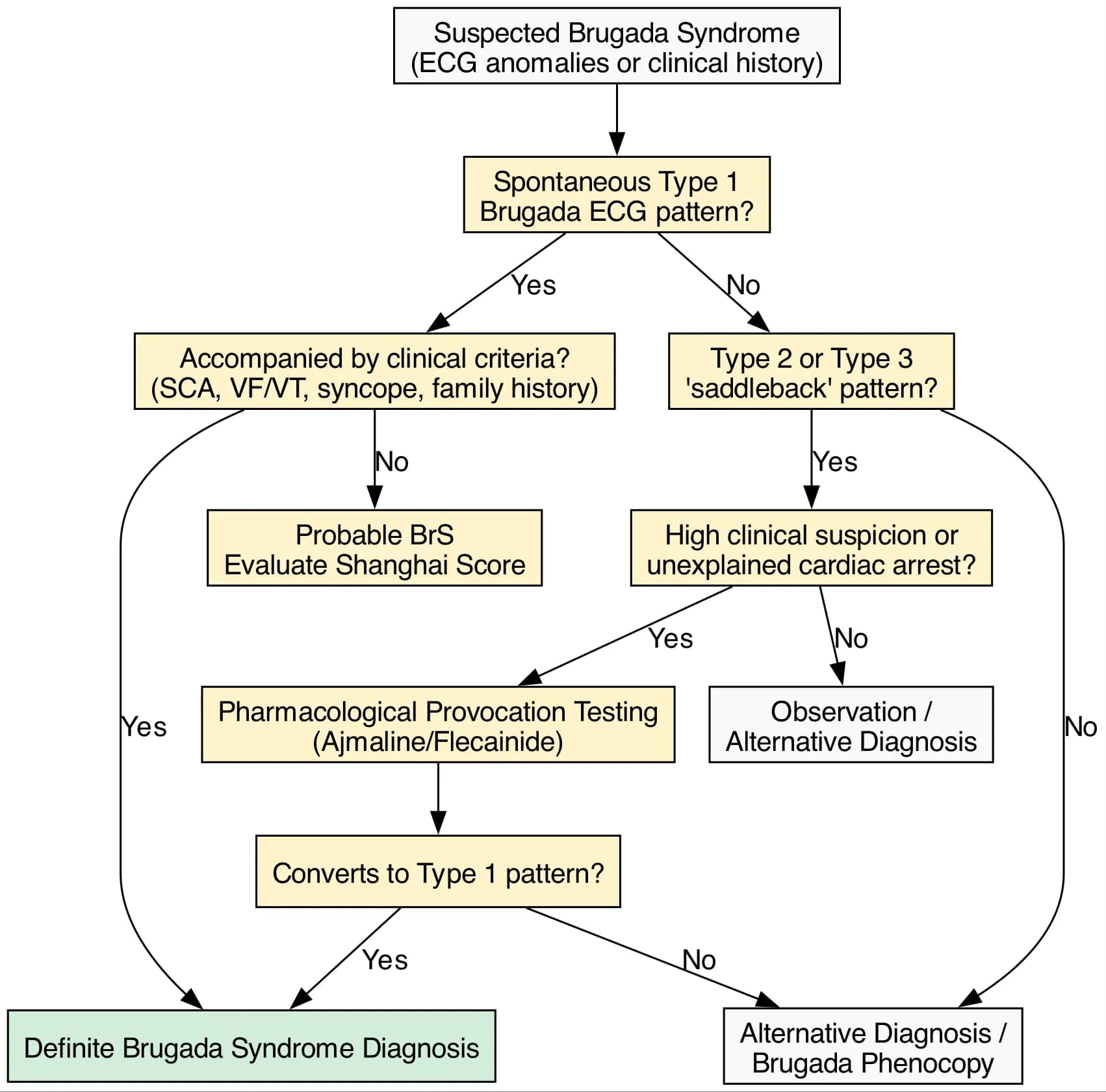 Diagnostic Algorithm for Suspected Brugada Syndrome