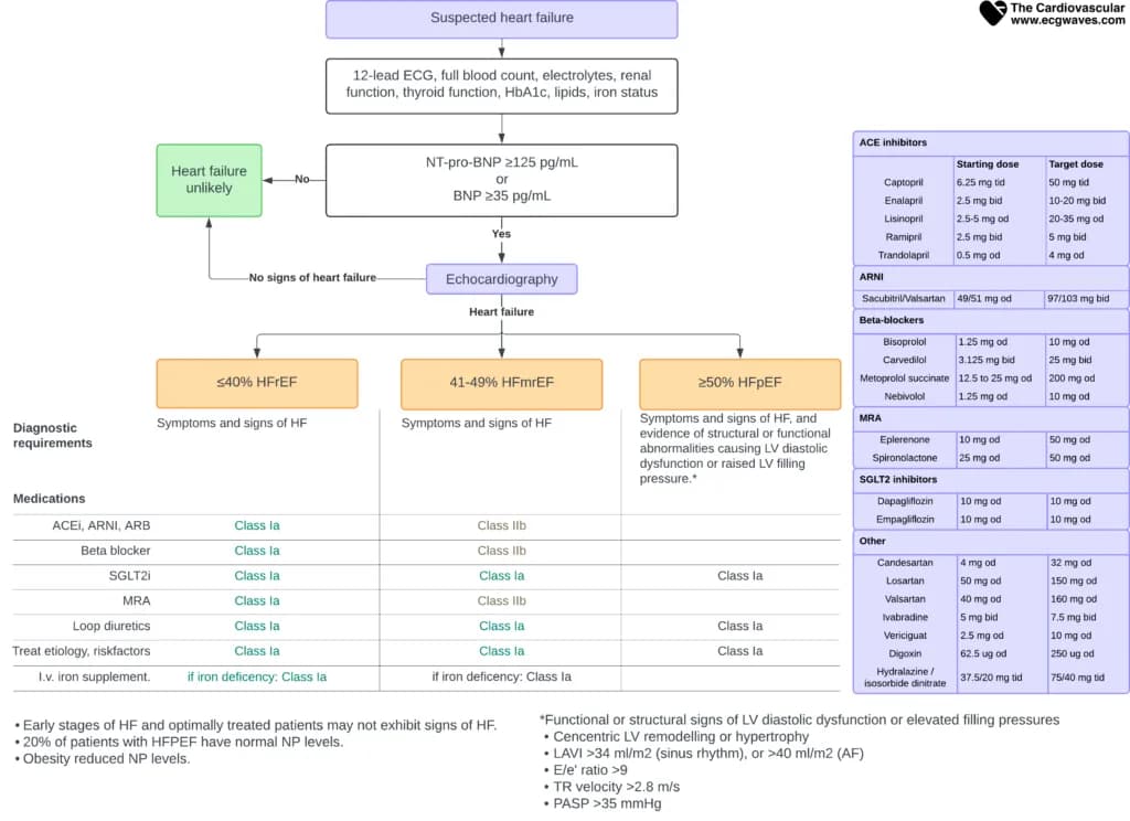 Overview of diagnosis, classification and management of heart failure
