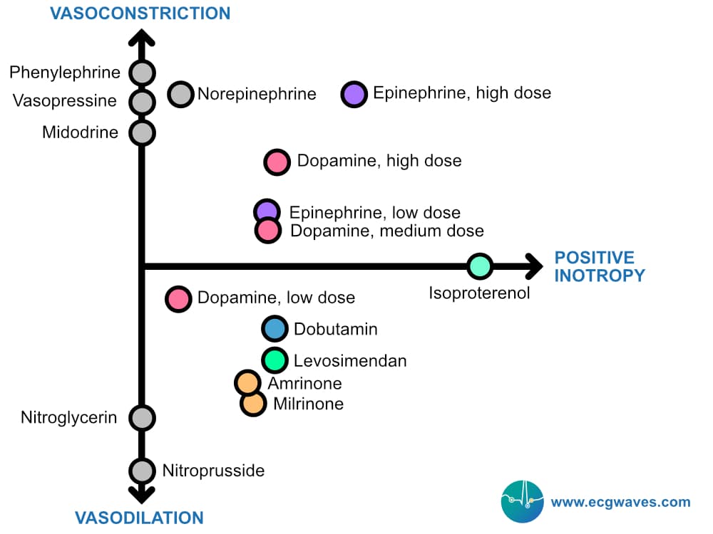 Inotropes and vasopressors.